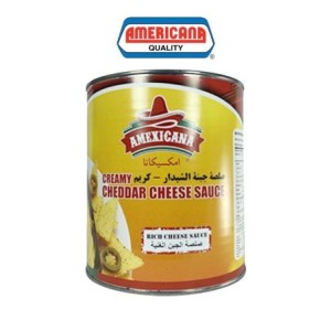 Cheddar Cheese Sauce Amexicana