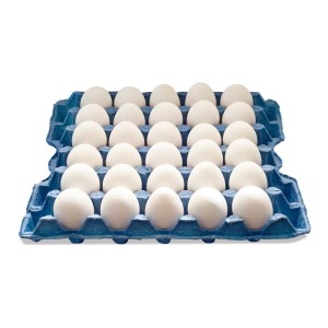 Egg Oytun White Medium 30 PCs