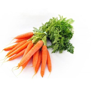 Carrot 4kg - China
