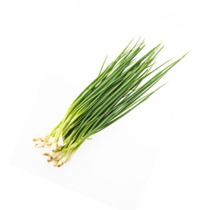 Spring Onion (Bundle)