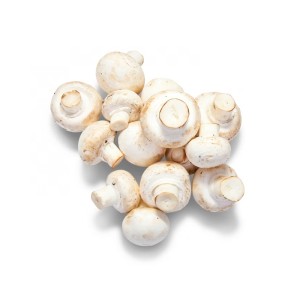 Mushroom (Pack)